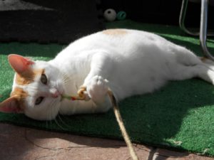 IMG-20180219-WA0136