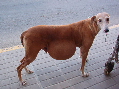 SandyA