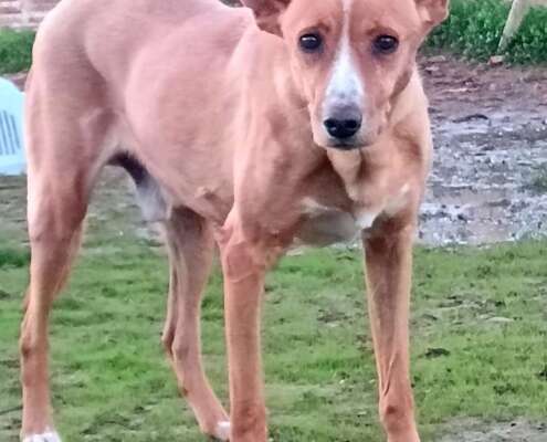 IMG_20251118_175535_edit_217140835574019