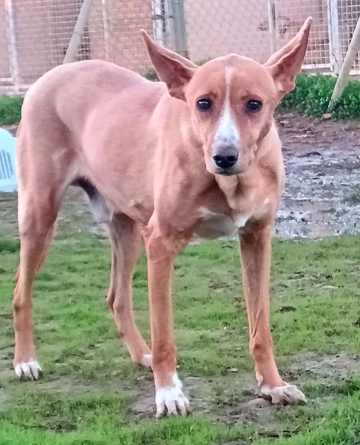 IMG_20251118_175535_edit_217140835574019