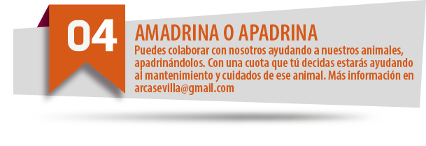 Amadrina o apadrina