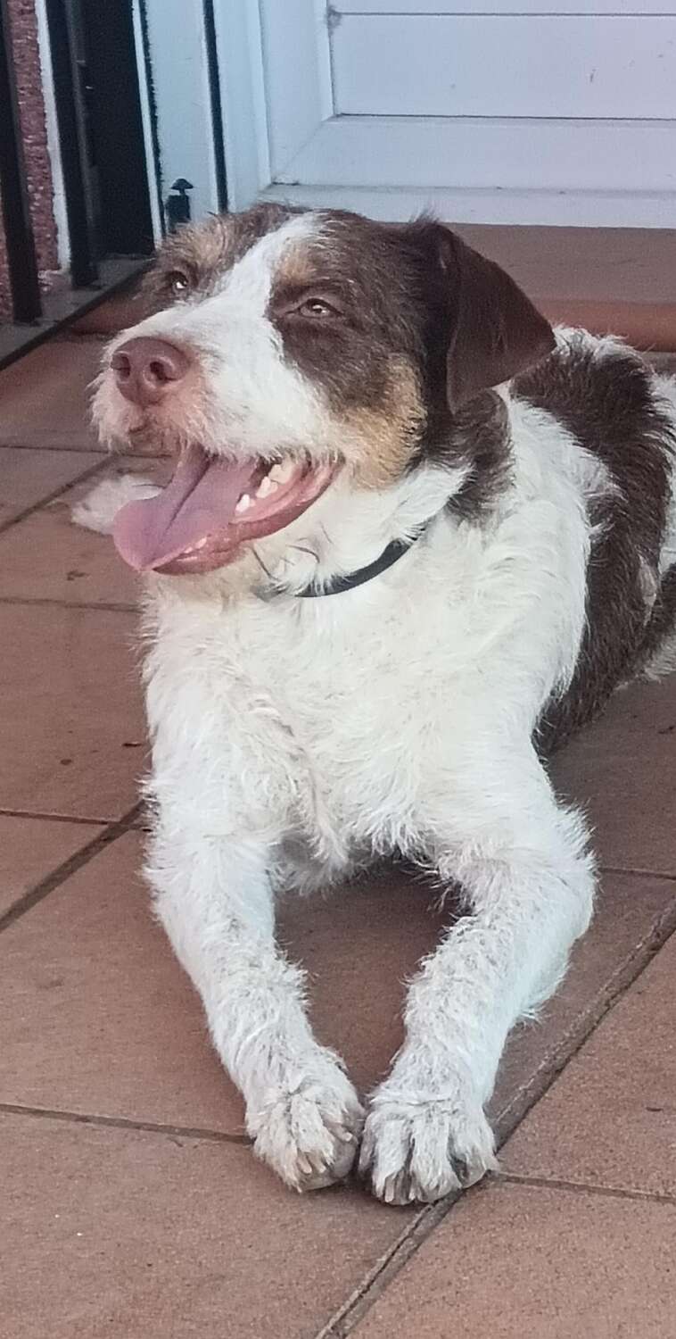 ENRIQUE 16