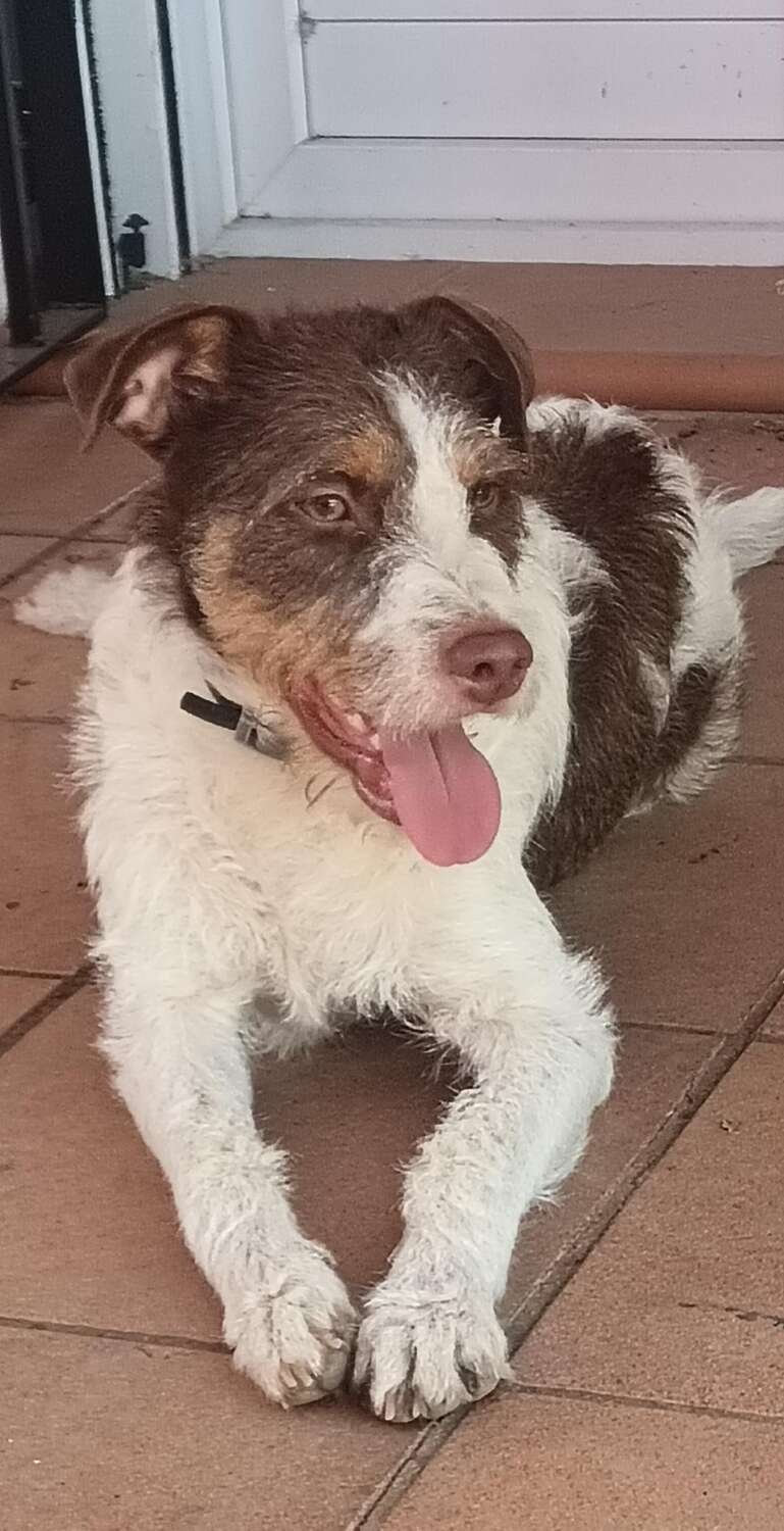 ENRIQUE 17