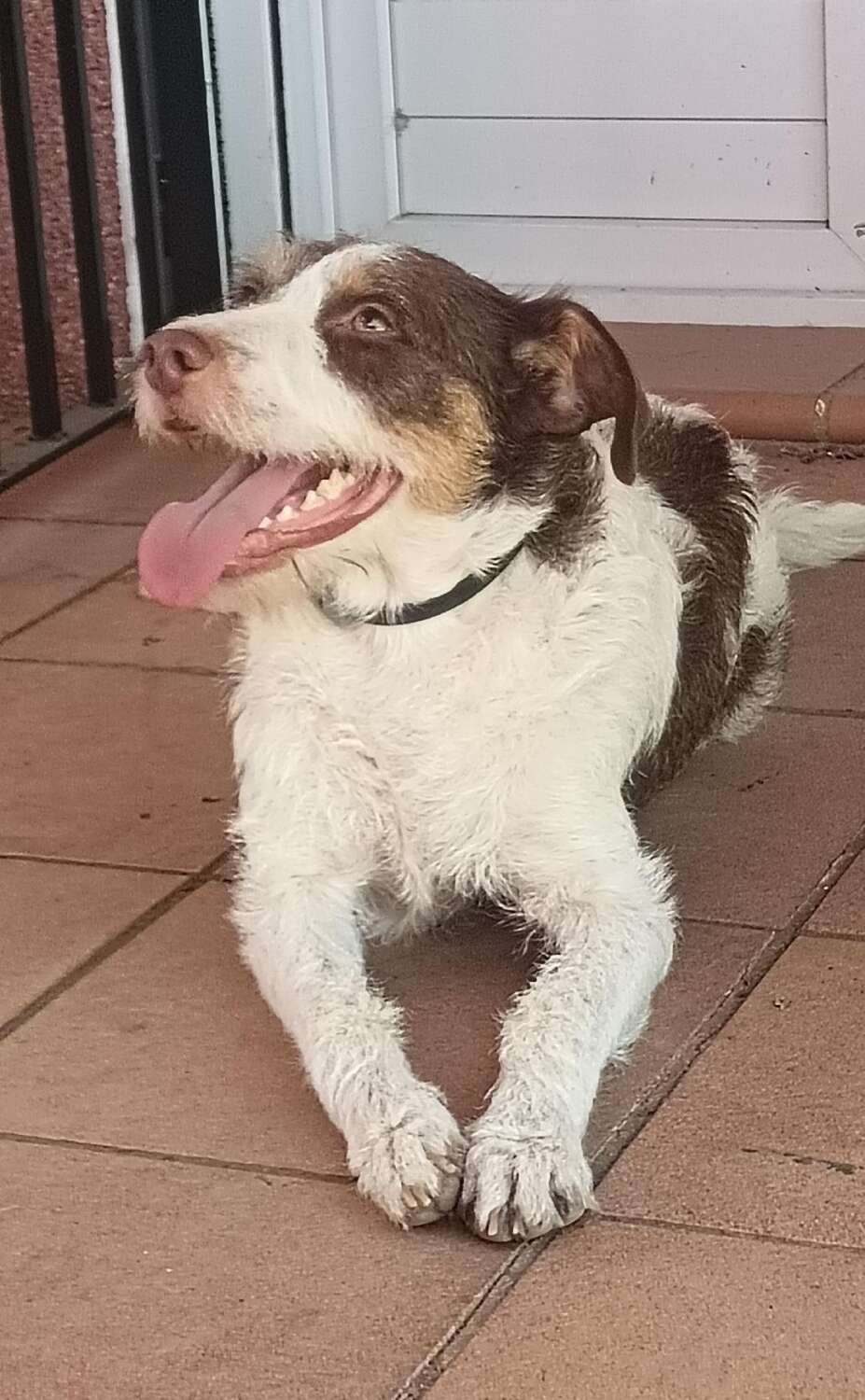 ENRIQUE 18