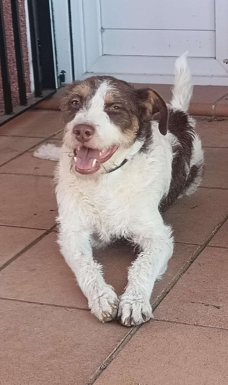 ENRIQUE 19