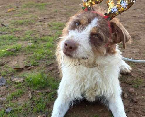 IMG-20251129-WA0055_edit_2317427416983