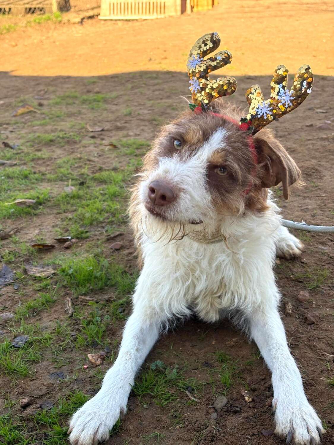 IMG-20251129-WA0055_edit_2317427416983