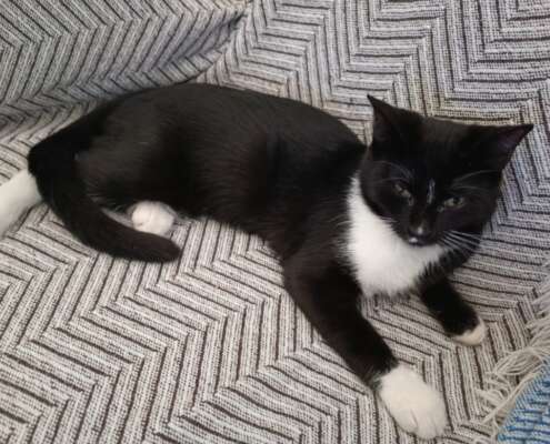 Screenshot_20251110_073953_com_yahoo_mobile_client_android_mail_SlideShowActivity_edit_614853414268570