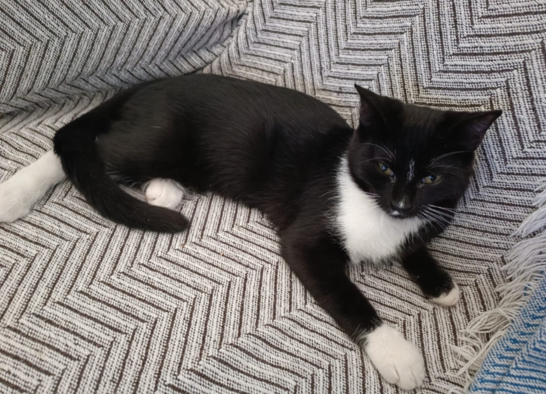 Screenshot_20251110_073953_com_yahoo_mobile_client_android_mail_SlideShowActivity_edit_614853414268570