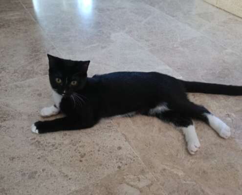 Screenshot_20251110_073955_com_yahoo_mobile_client_android_mail_SlideShowActivity_edit_614840257558415