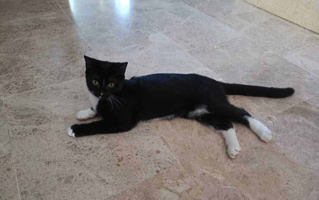 Screenshot_20251110_073955_com_yahoo_mobile_client_android_mail_SlideShowActivity_edit_614840257558415