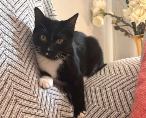 Screenshot_20251110_074002_com_yahoo_mobile_client_android_mail_SlideShowActivity_edit_614823347568876