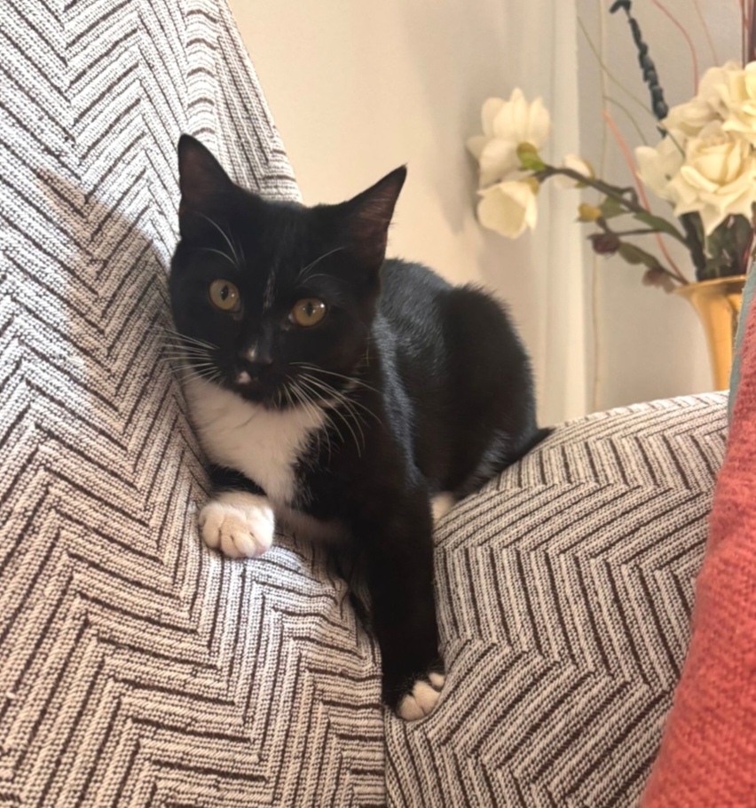 Screenshot_20251110_074002_com_yahoo_mobile_client_android_mail_SlideShowActivity_edit_614823347568876