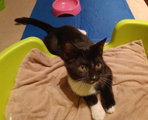 Screenshot_20251110_074009_com_yahoo_mobile_client_android_mail_SlideShowActivity_edit_614759711050103