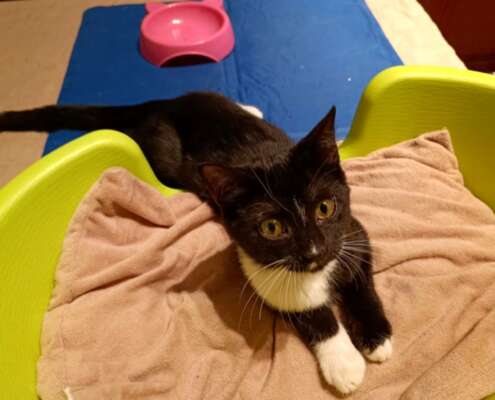 Screenshot_20251110_074010_com_yahoo_mobile_client_android_mail_SlideShowActivity_edit_614728875085793