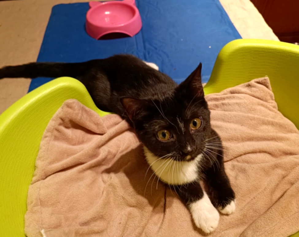 Screenshot_20251110_074010_com_yahoo_mobile_client_android_mail_SlideShowActivity_edit_614728875085793