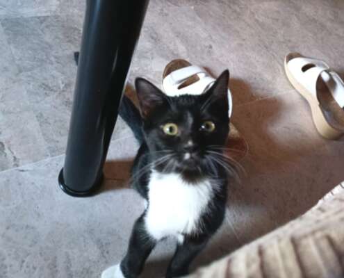 Screenshot_20251110_074012_com_yahoo_mobile_client_android_mail_SlideShowActivity_edit_614707397403331