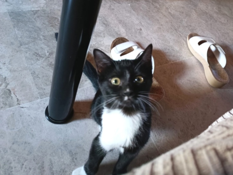 Screenshot_20251110_074012_com_yahoo_mobile_client_android_mail_SlideShowActivity_edit_614707397403331