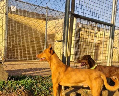 IMG-20251112-WA0060_edit_762935388524858