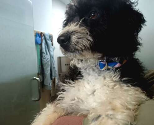 IMG_20251126_102607_edit_73504911731534