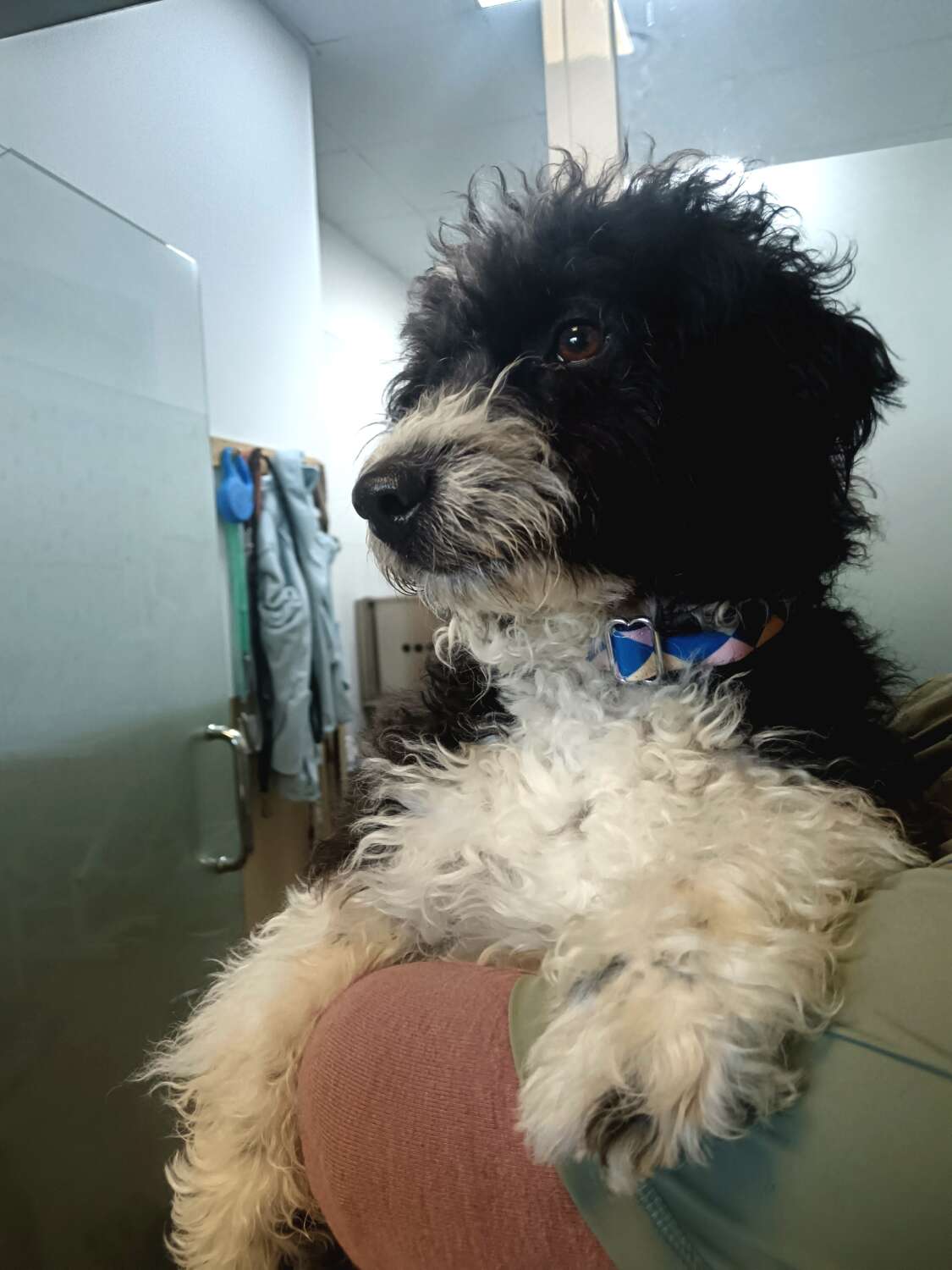 IMG_20251126_102607_edit_73504911731534