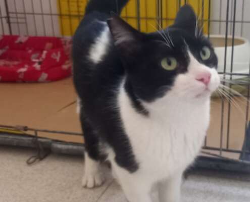 Screenshot_20251103_201816_com_yahoo_mobile_client_android_mail_SlideShowActivity_edit_276988817365816