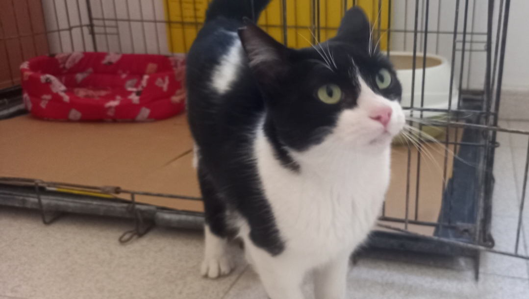 Screenshot_20251103_201816_com_yahoo_mobile_client_android_mail_SlideShowActivity_edit_276988817365816