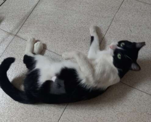 Screenshot_20251103_201817_com_yahoo_mobile_client_android_mail_SlideShowActivity_edit_276978826561277