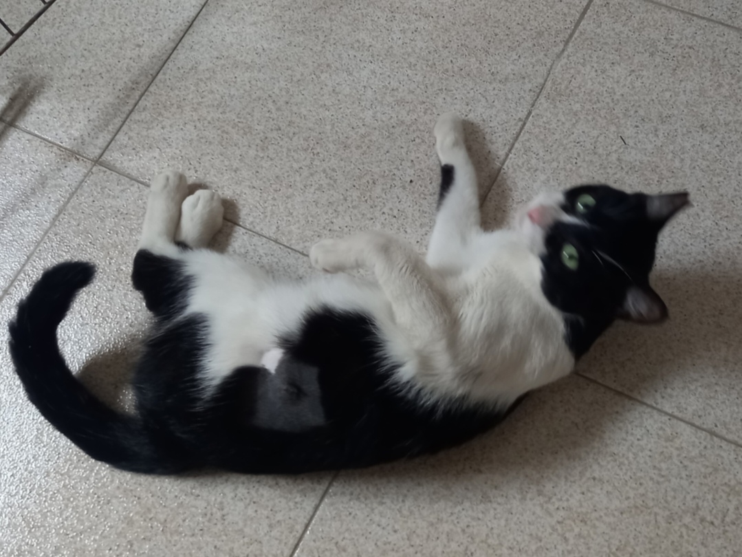 Screenshot_20251103_201817_com_yahoo_mobile_client_android_mail_SlideShowActivity_edit_276978826561277