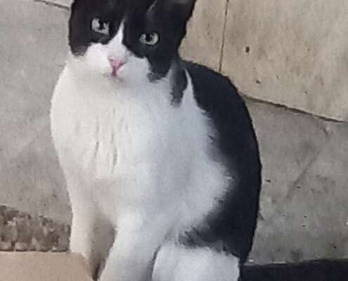 Screenshot_20251103_201819_com_yahoo_mobile_client_android_mail_SlideShowActivity_edit_276968856316584