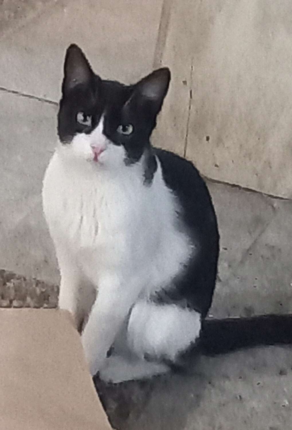 Screenshot_20251103_201819_com_yahoo_mobile_client_android_mail_SlideShowActivity_edit_276968856316584