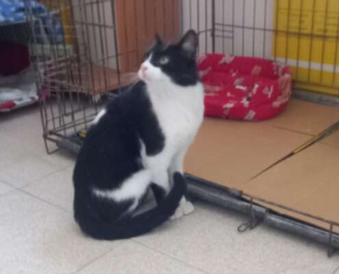 Screenshot_20251103_201820_com_yahoo_mobile_client_android_mail_SlideShowActivity_edit_276947190006506