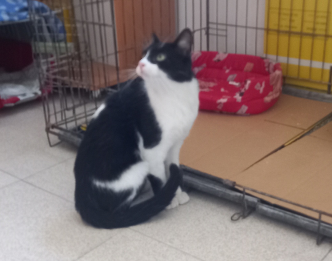 Screenshot_20251103_201820_com_yahoo_mobile_client_android_mail_SlideShowActivity_edit_276947190006506