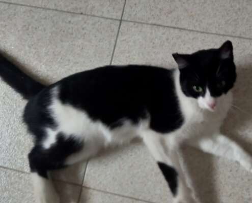 Screenshot_20251103_201822_com_yahoo_mobile_client_android_mail_SlideShowActivity_edit_276937918914198