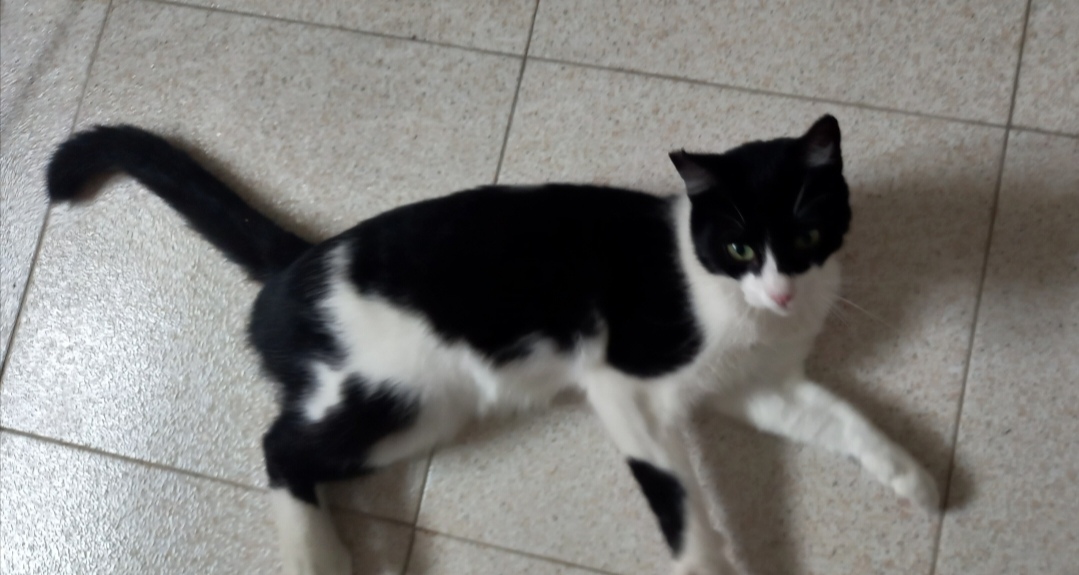 Screenshot_20251103_201822_com_yahoo_mobile_client_android_mail_SlideShowActivity_edit_276937918914198