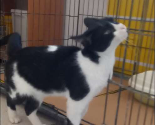 Screenshot_20251103_201823_com_yahoo_mobile_client_android_mail_SlideShowActivity_edit_276924119707736