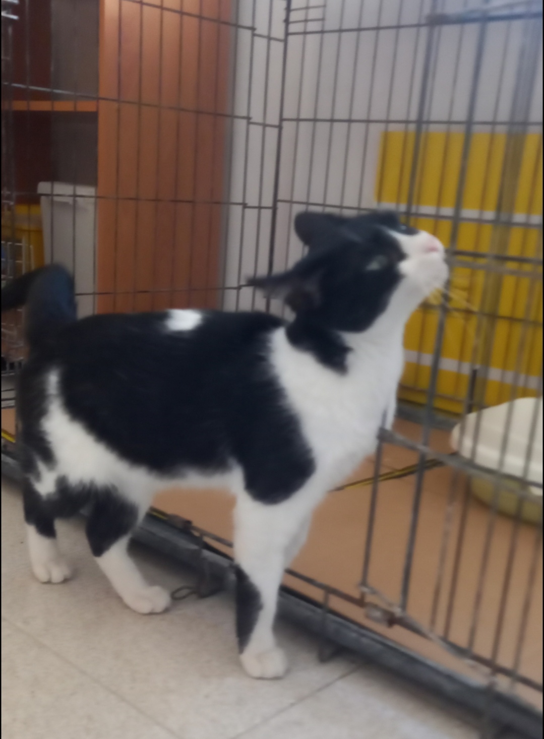 Screenshot_20251103_201823_com_yahoo_mobile_client_android_mail_SlideShowActivity_edit_276924119707736