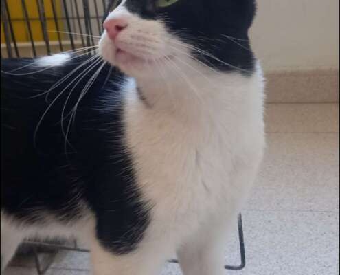 Screenshot_20251103_201824_com_yahoo_mobile_client_android_mail_SlideShowActivity_edit_276914020717196