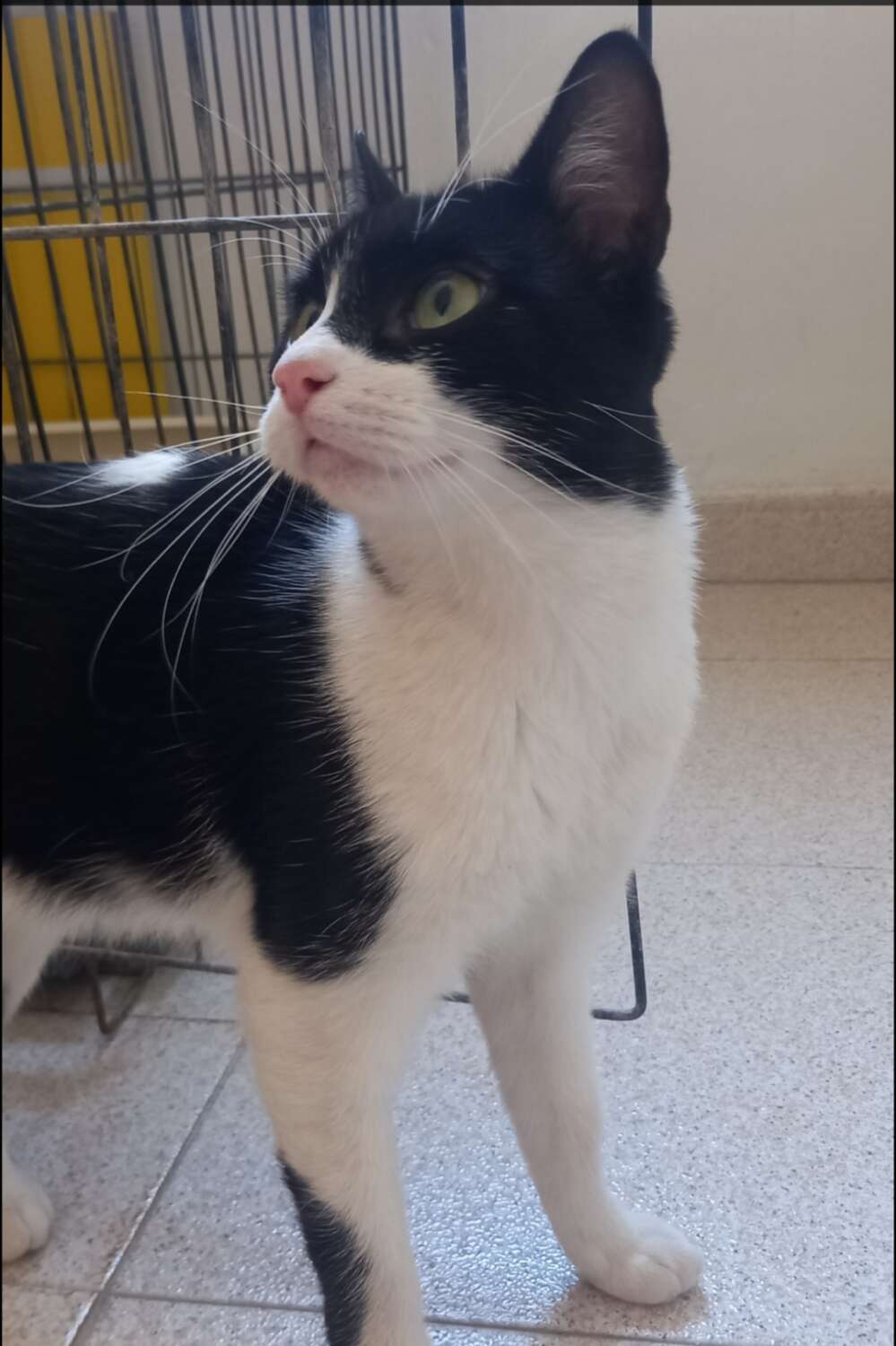 Screenshot_20251103_201824_com_yahoo_mobile_client_android_mail_SlideShowActivity_edit_276914020717196