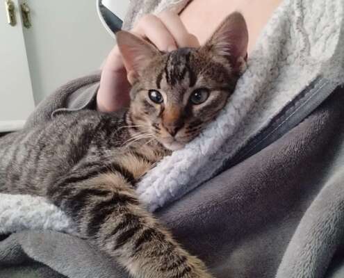 WhatsApp Image 2025-11-14 at 11.53.21