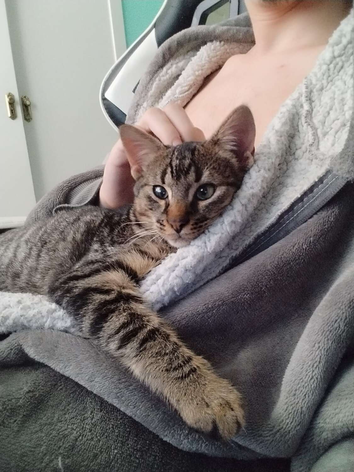 WhatsApp Image 2025-11-14 at 11.53.21