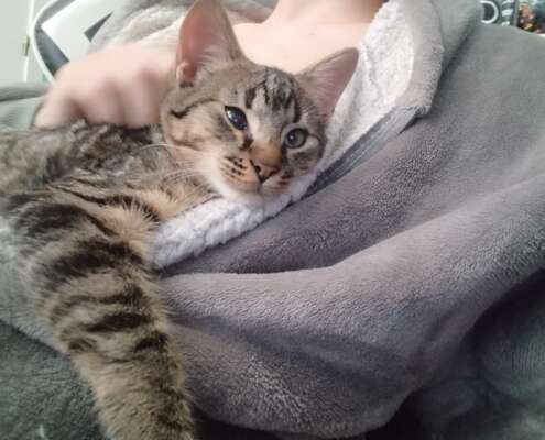 WhatsApp Image 2025-11-14 at 12.03.05