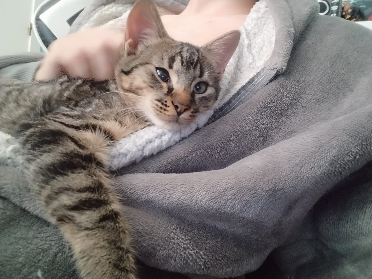 WhatsApp Image 2025-11-14 at 12.03.05