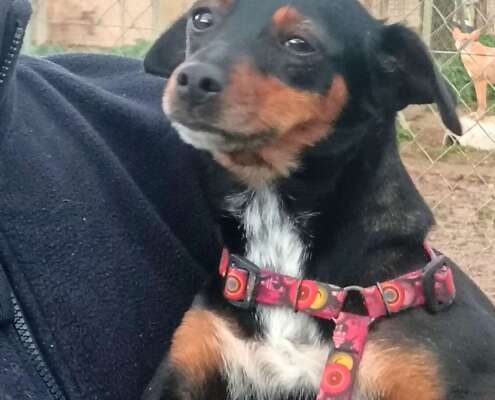 IMG_20260113_174412_edit_84712363493894