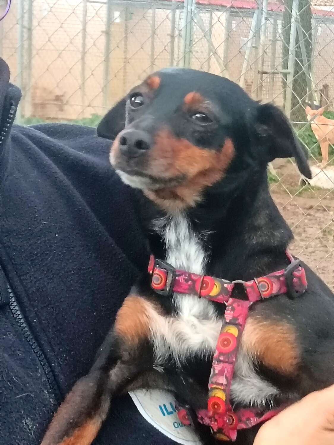 IMG_20260113_174412_edit_84712363493894