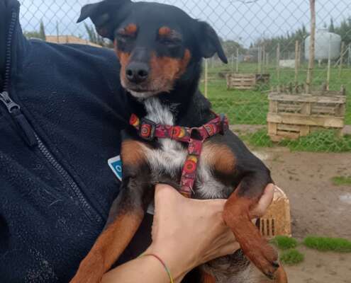 IMG_20260113_174452_edit_84681397460354