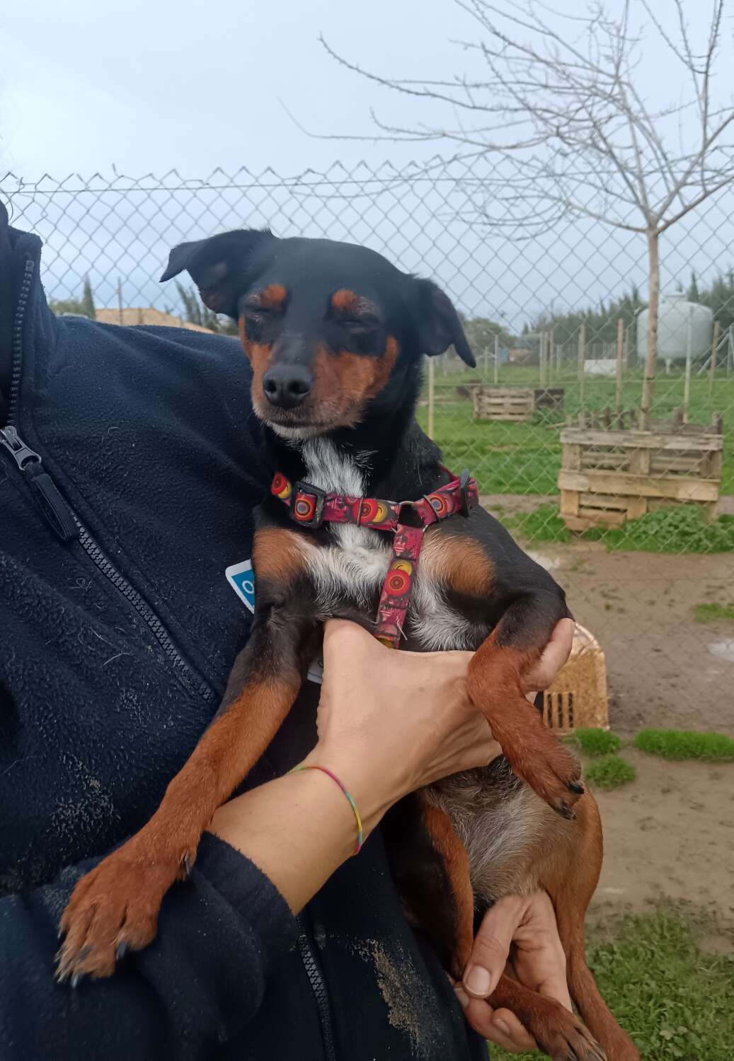 IMG_20260113_174452_edit_84681397460354