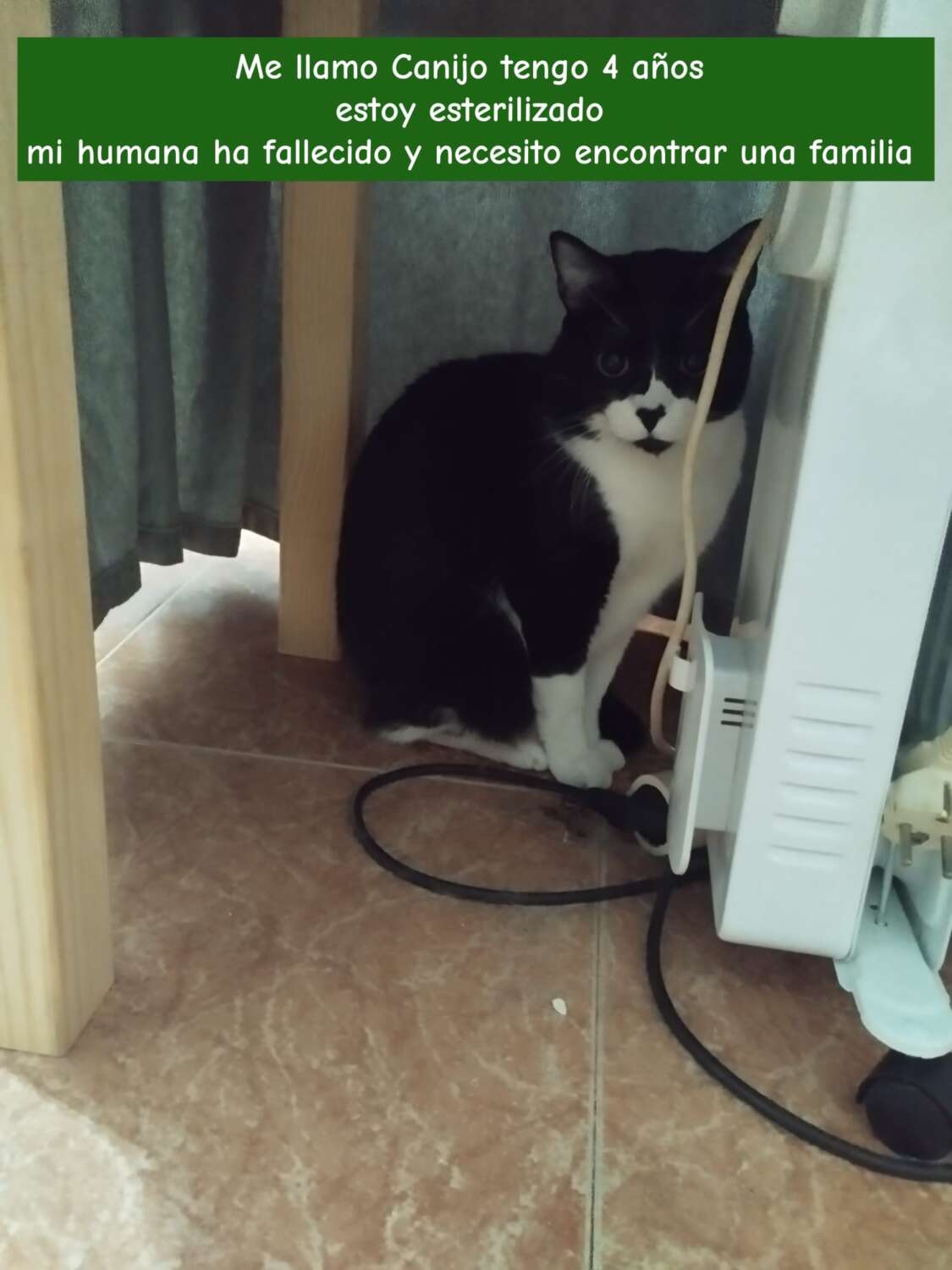 0a413d6c-3e77-4c71-9c6f-804b63d76561