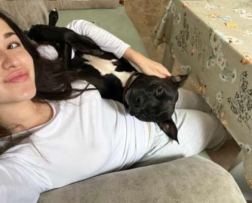 AMBAR 1