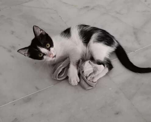 LUNA 1